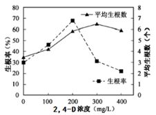 生物学研究中的实验基础与验证