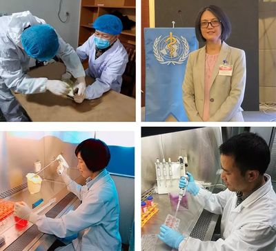 硬核成果！南昌市疾控中心陈海婴团队获江西省自然科学奖一等奖