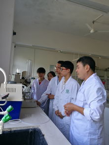 以赛促学强技能，实验求真育匠心——环境与食品工程学院学子积极备战广西高校大学生化学实验技能竞赛