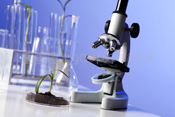 生物学实验室中的绿色植物 推动自然科学研究与试验发展的生态引擎