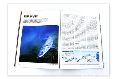 《Newton科学世界》 以彩印铜版纸为载体，探索自然科学的奥秘