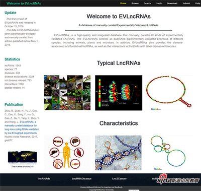 德州学院在长非编码RNA数据库研究领域取得重要成果